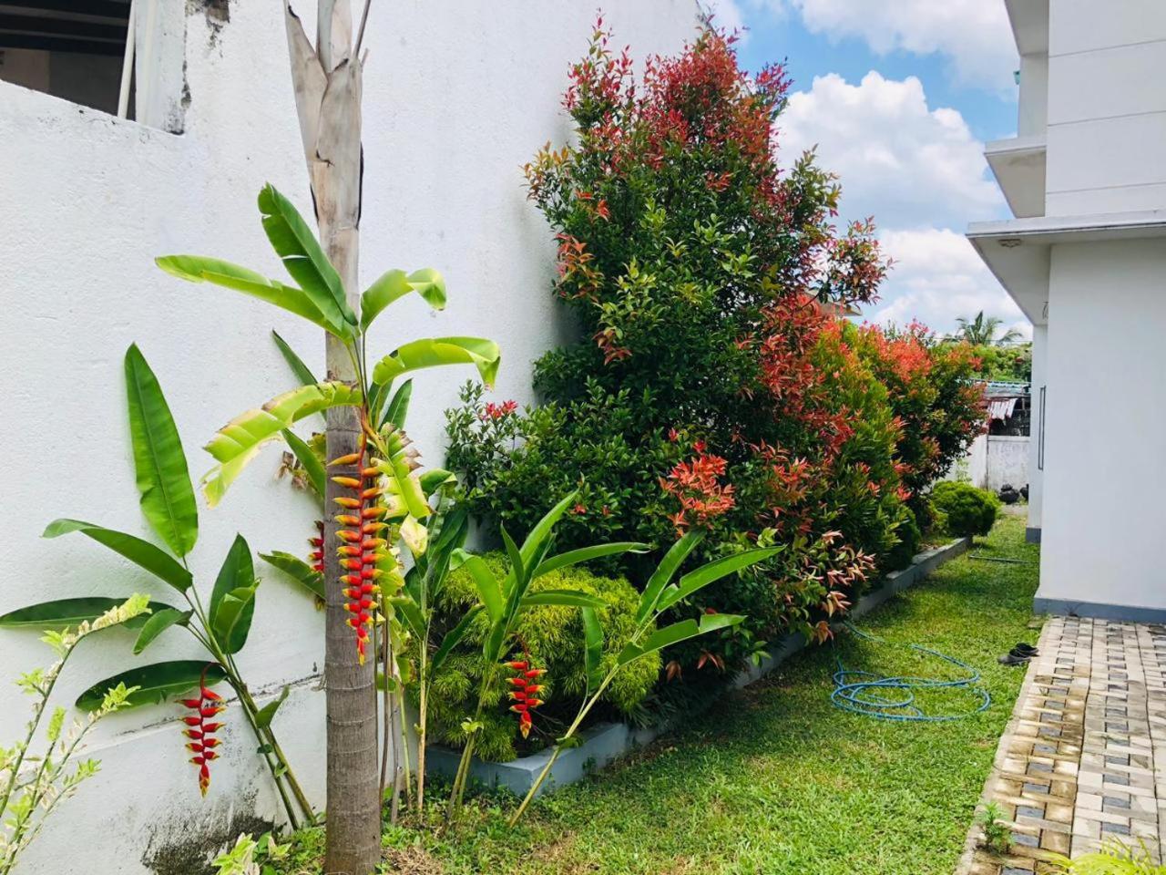 Vidushi Home Minuwangoda Экстерьер фото